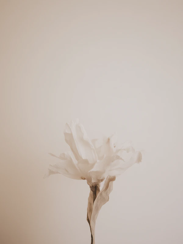 Dried Flower Minimalism