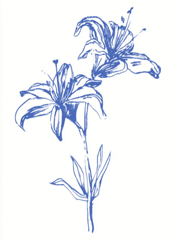 Minimalist Blue Lilies
