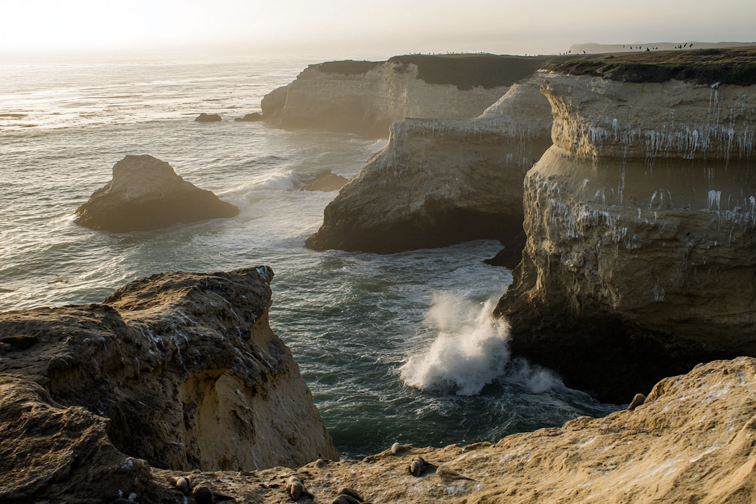 Dramatic Coastal Scene