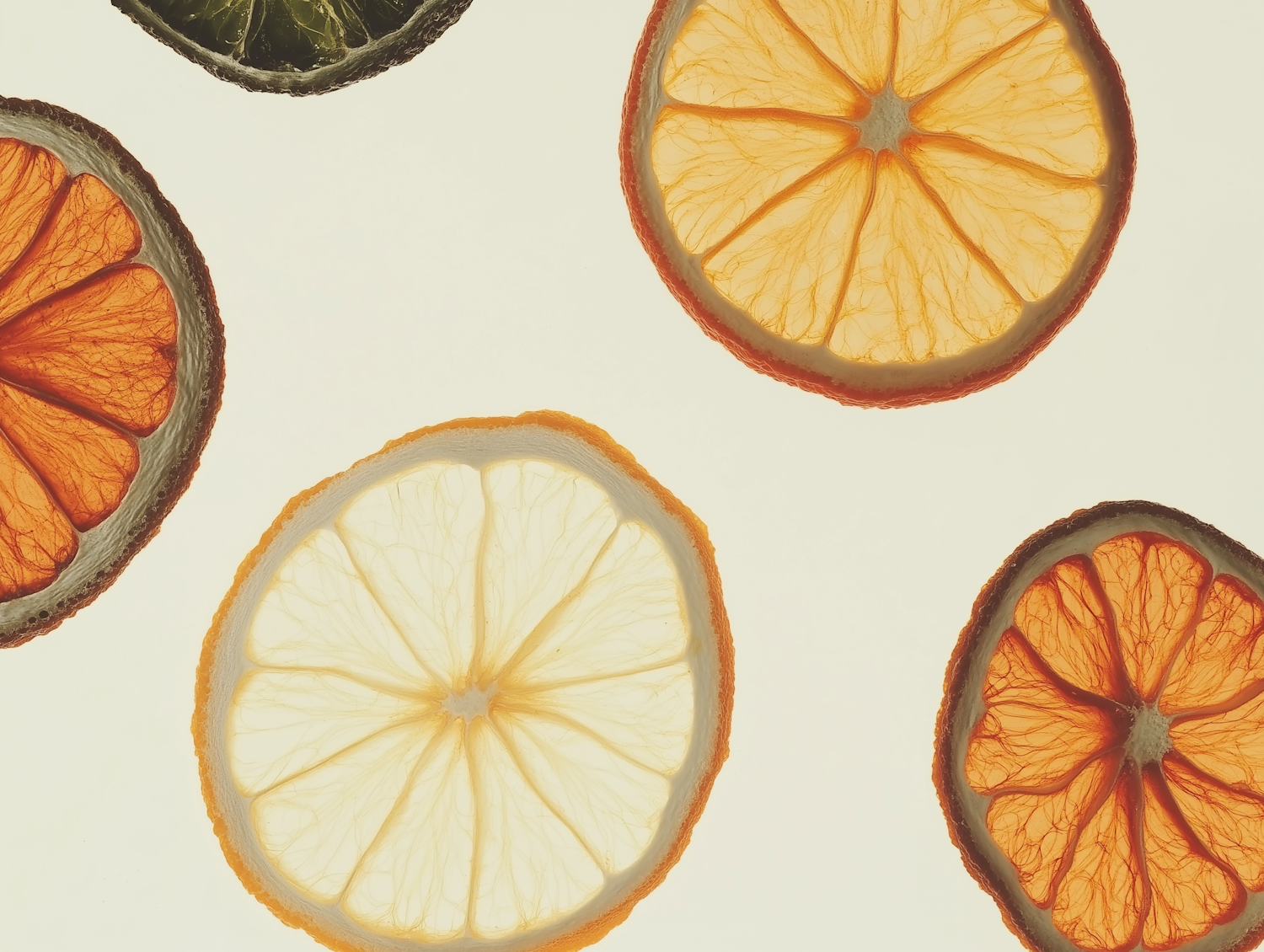 Citrus Fruit Slices