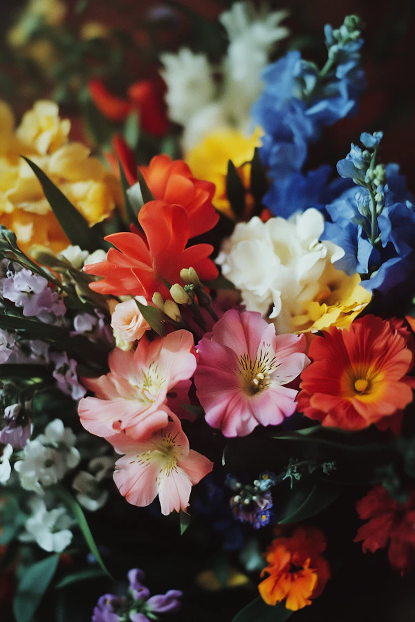 Vibrant Floral Bouquet