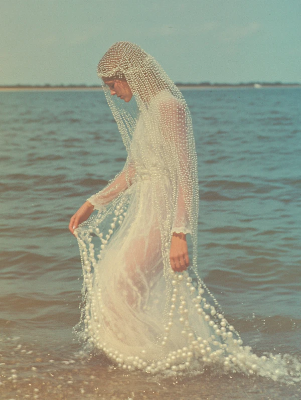 Shoreline Elegance