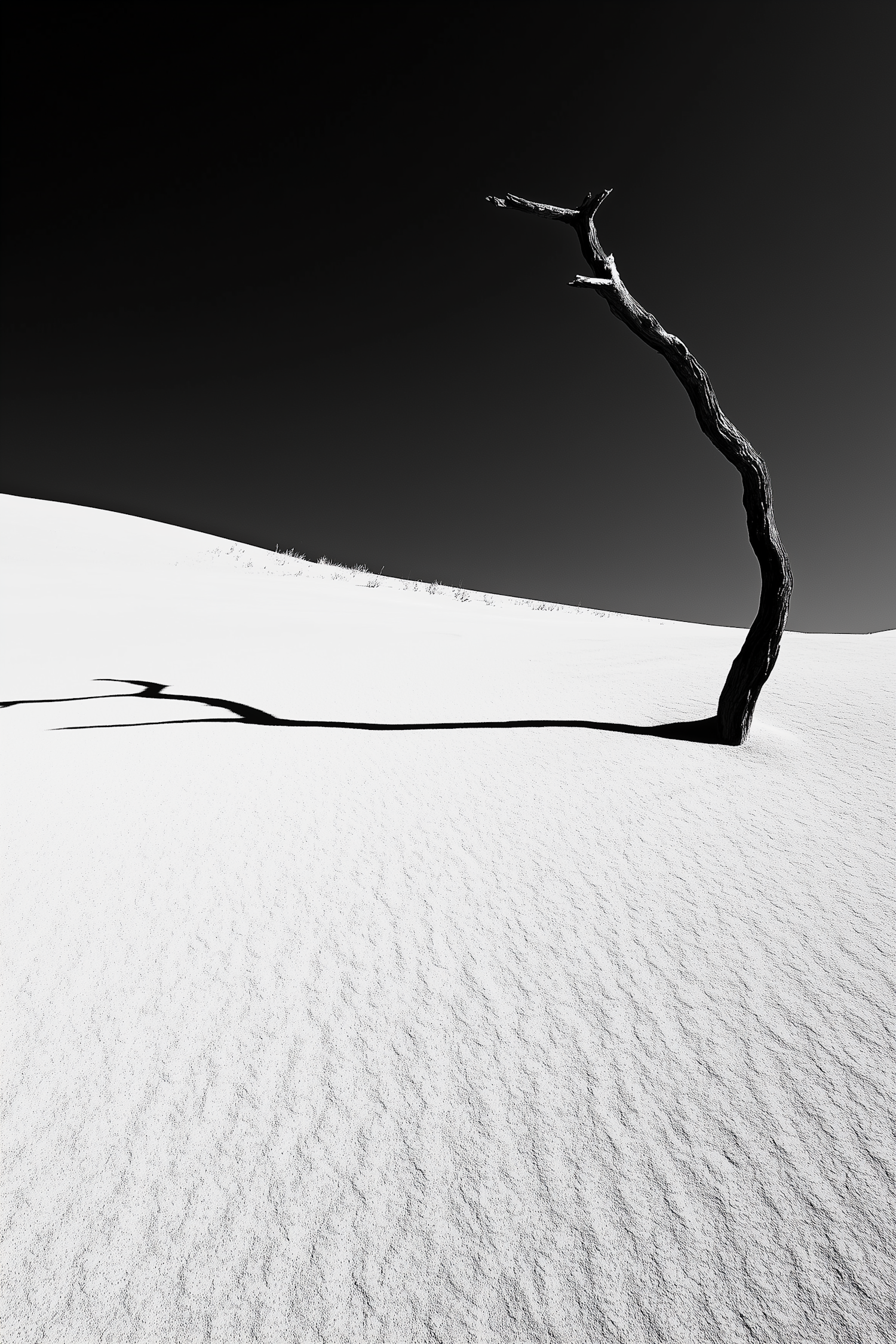 Minimalist Landscape with Lone Branch