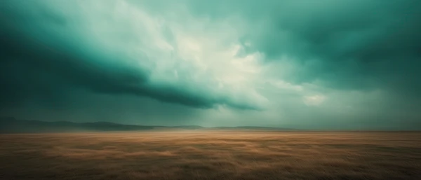 Stormy Grassland Scene