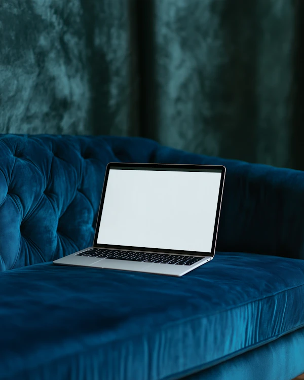 Laptop on Velvet Sofa