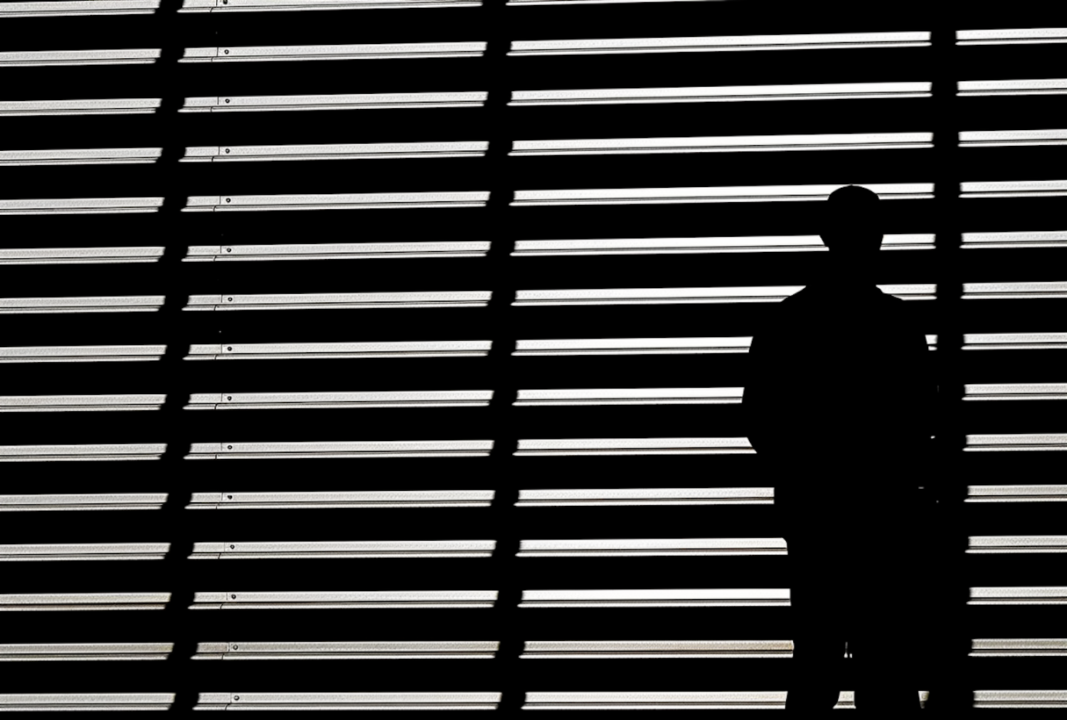 Silhouette and Stripes: The Interplay of Light and Shadow