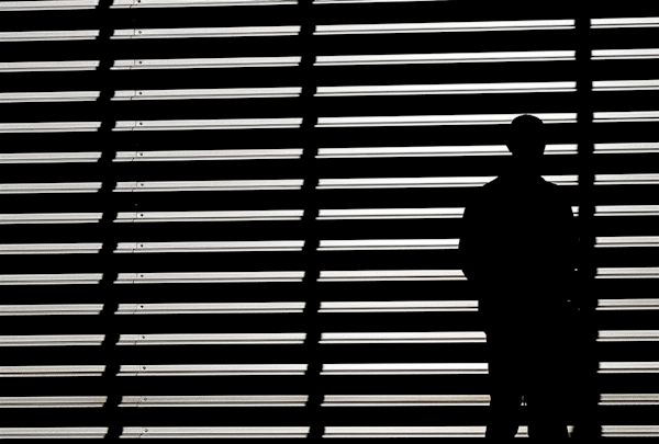 Silhouette and Stripes: The Interplay of Light and Shadow