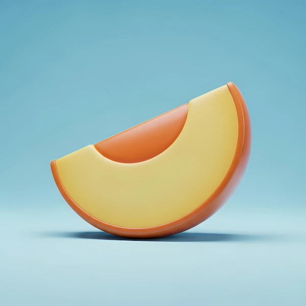 Stylized Fruit Slice