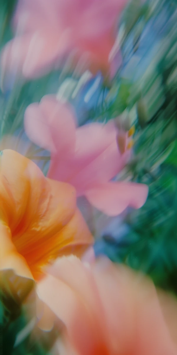 Abstract Floral Blur