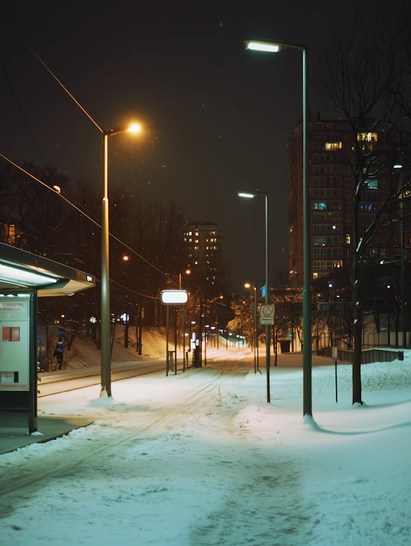 Snowy Urban Night Scene