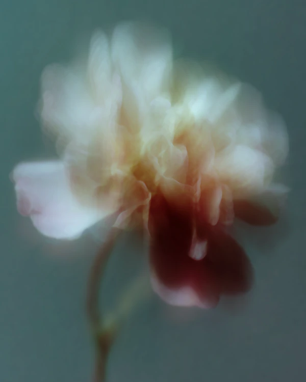 Dreamy Flower Portrait