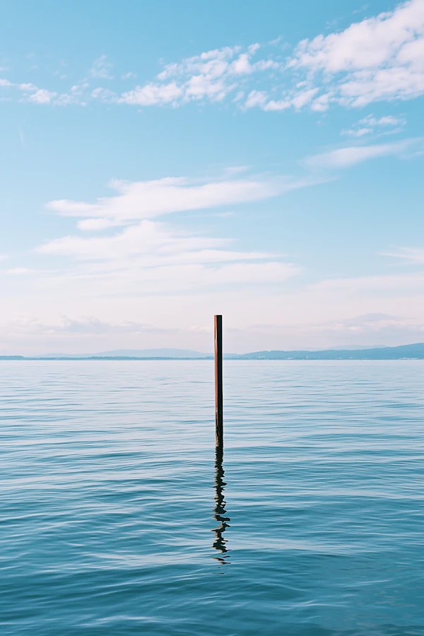 Tranquil Water Scene