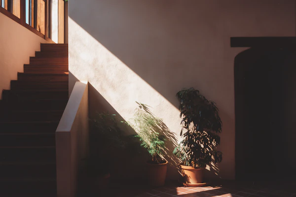 Serene Indoor Space