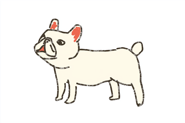 Cartoon French Bulldog Illustration