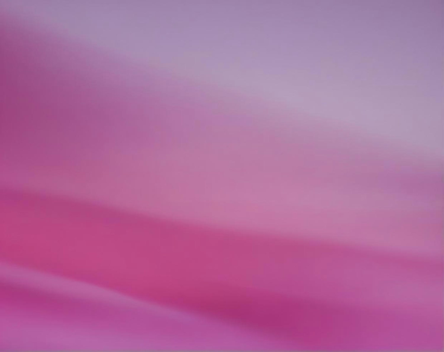 Abstract Pink and Purple Gradient Background