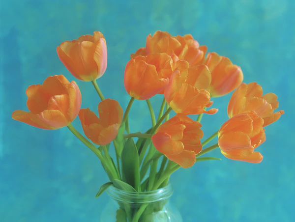 Orange Tulip Bouquet