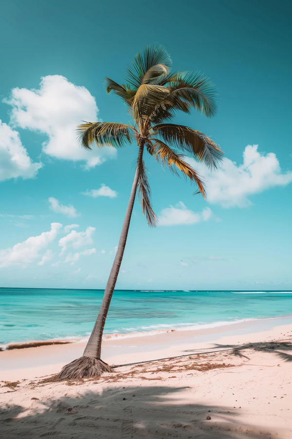 Tranquil Beach Serenity