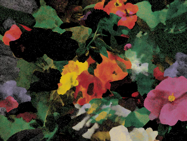 Vibrant Floral Artwork