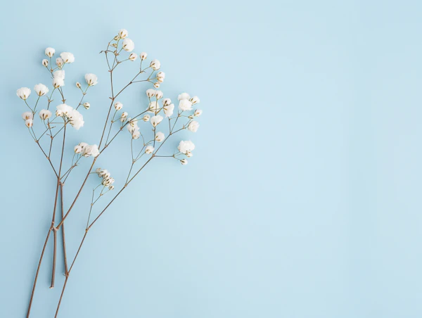 Delicate White Poppies on Blue