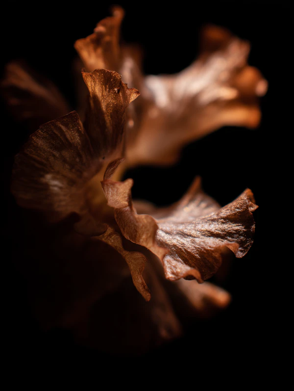 Metallic Flower Petal