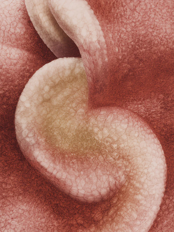Abstract Textured Surface