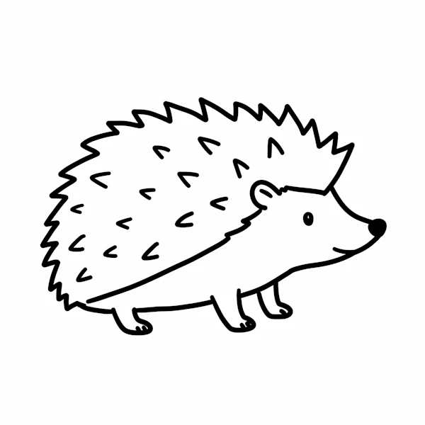 Cartoon Hedgehog Drawing