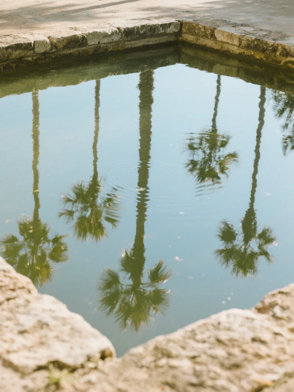 Tranquil Pond Reflection