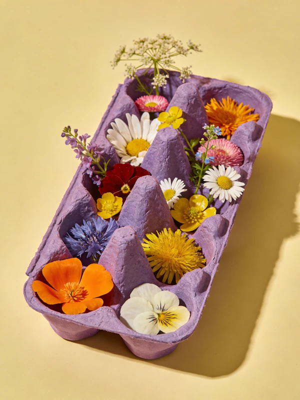 Floral Egg Carton Display