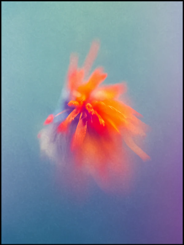 Ethereal Floral Glow