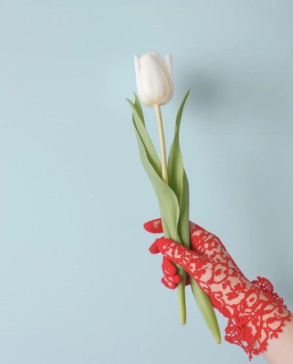Tulip and Red Glove