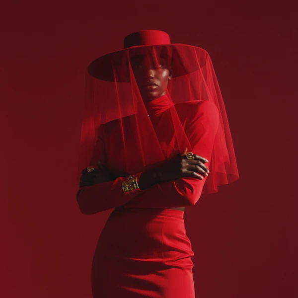 Elegant Red Attire