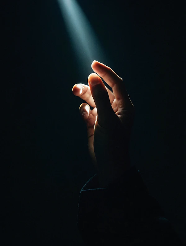 Hand in Dramatic Light