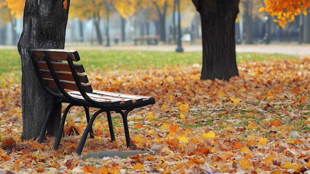 Serene Autumn Park Scene