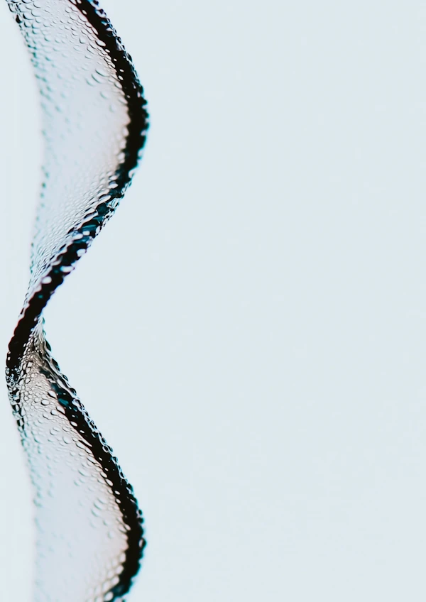 Twisted Ribbon Structure