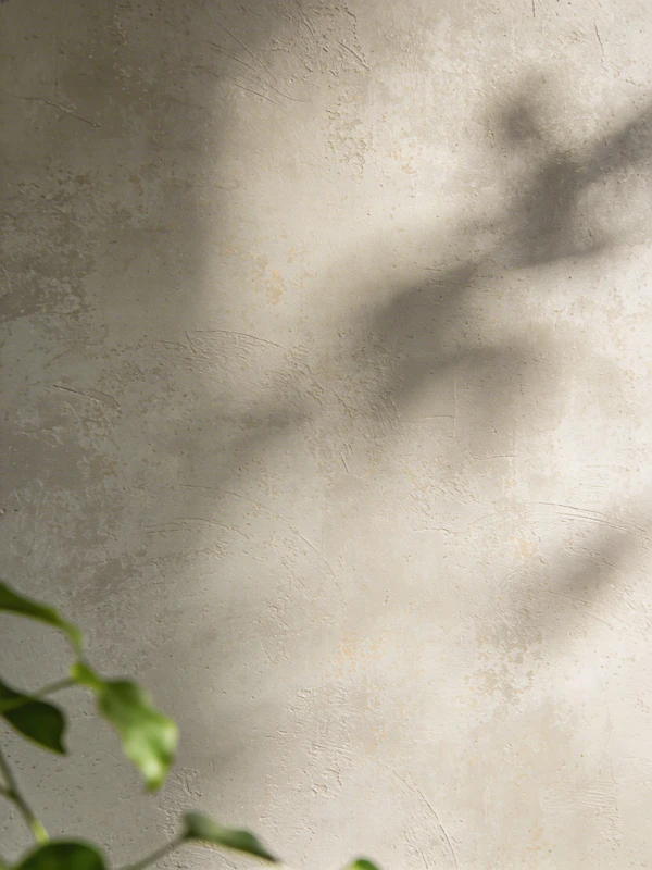 Textured Wall with Plant