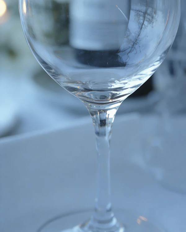Elegant Wine Glass