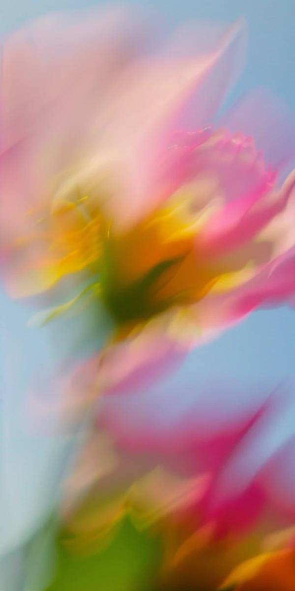 Dreamy Abstract Flower