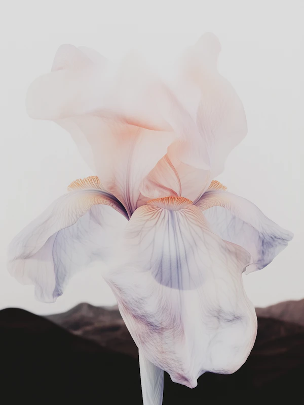 Ethereal Iris