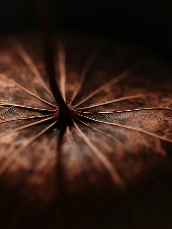 Intricate Leaf Veins