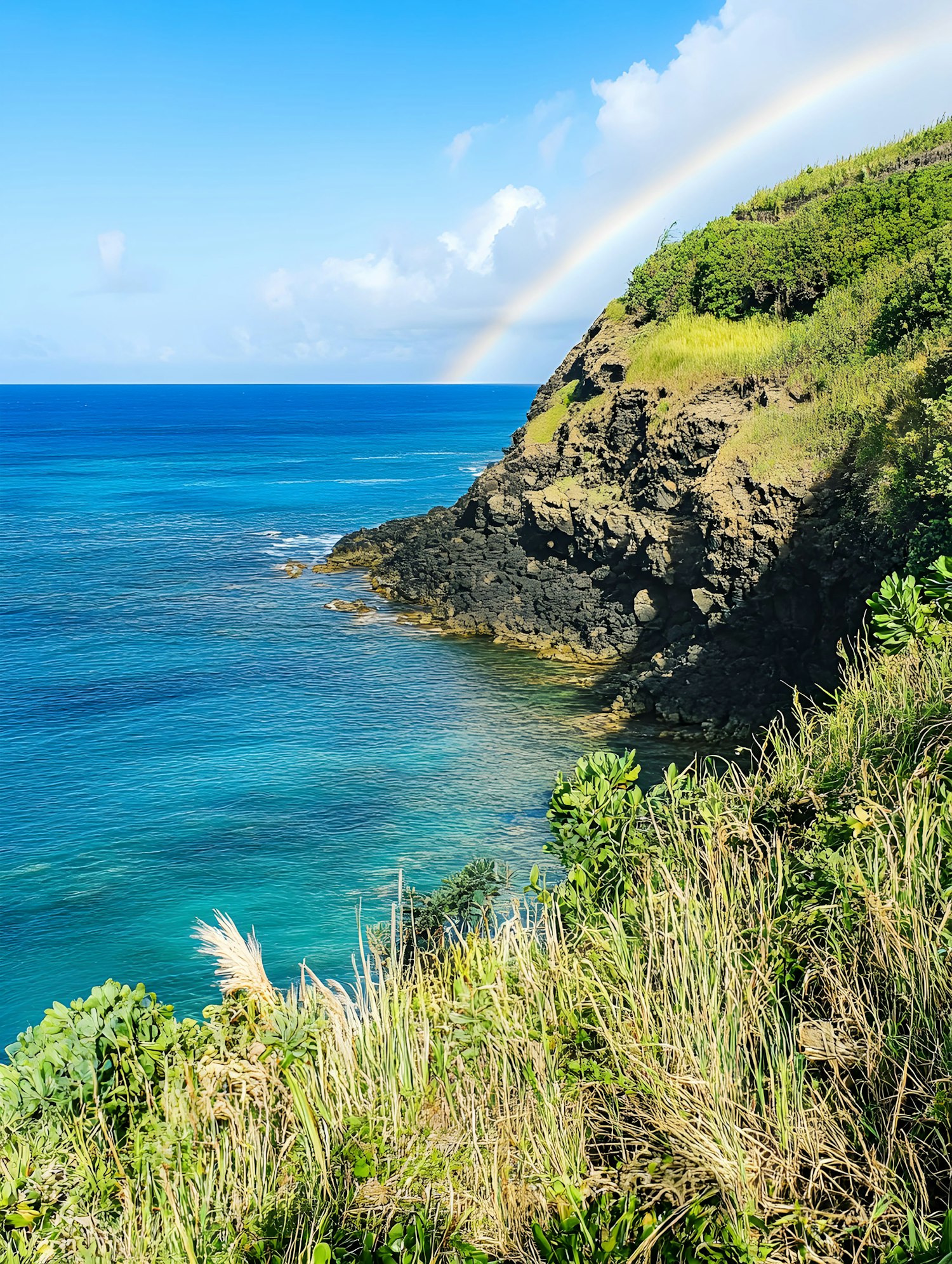 Serene Coastal Landscape with Double Rainbow