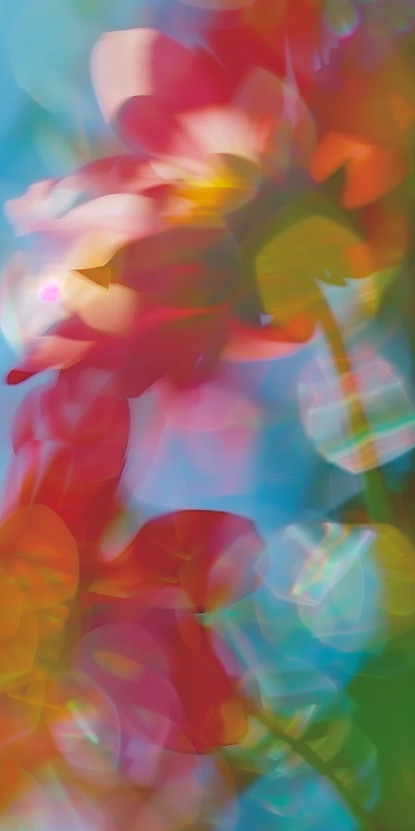 Dreamy Abstract Colors