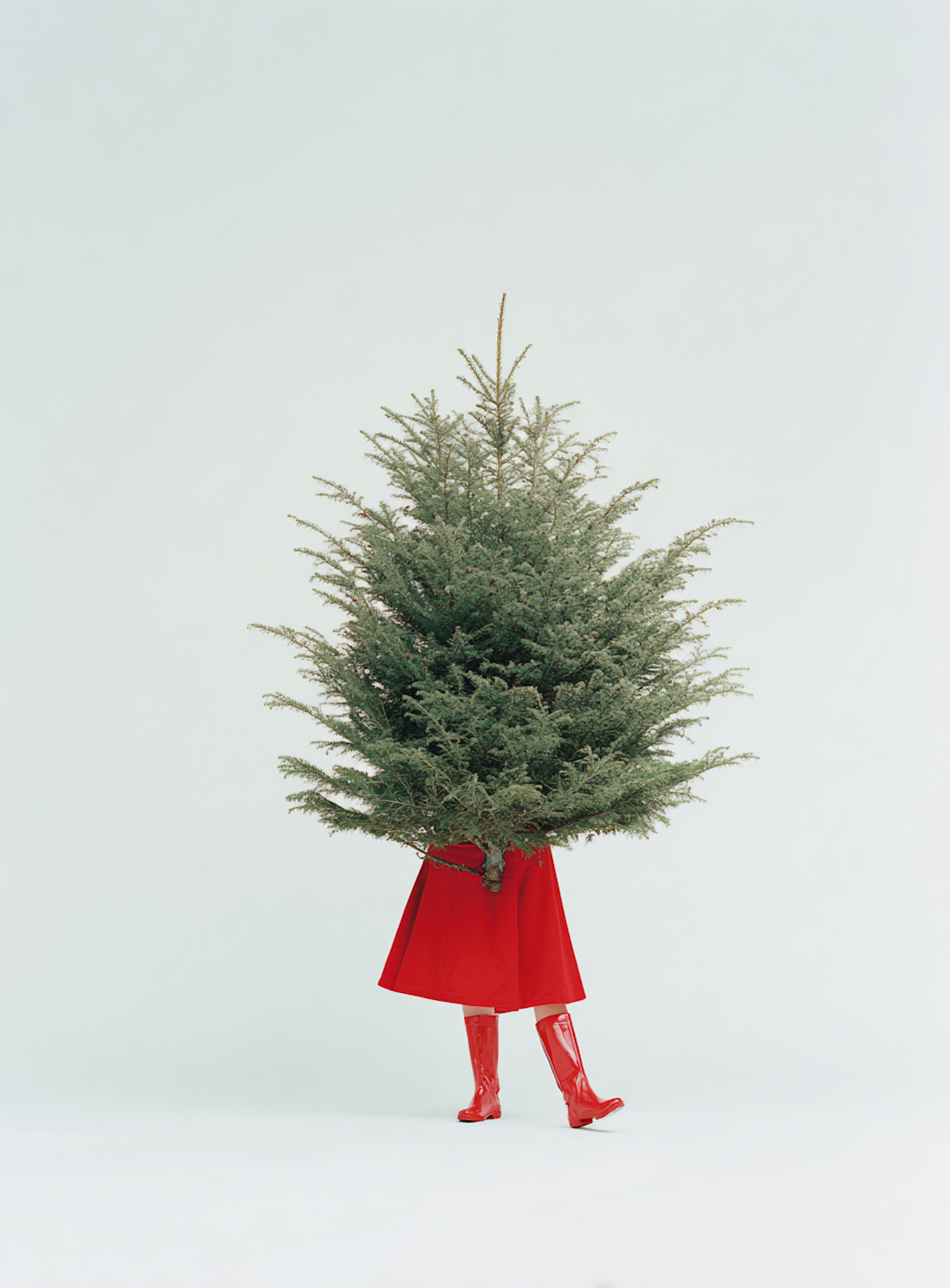 Person with Fir Tree