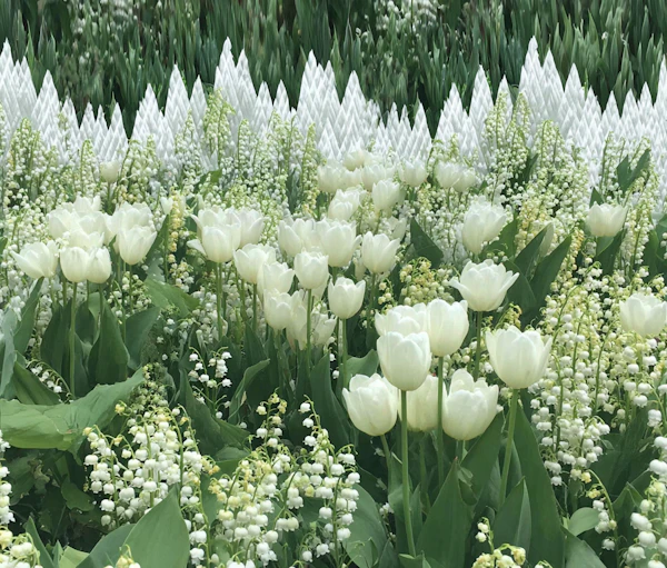Serene Garden Scene