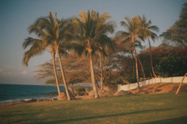Serene Coastal Scene