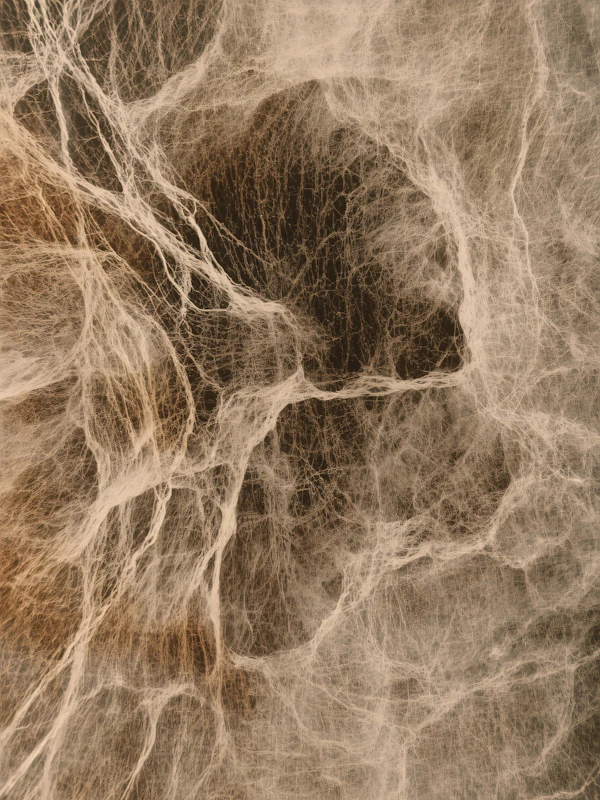 Organic Fiber Network