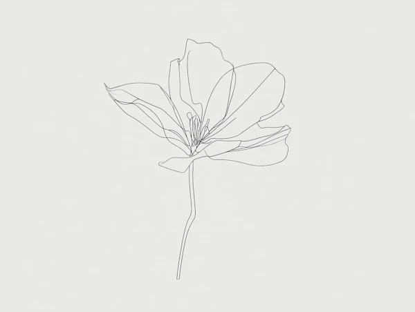 Line Art Floral Drawing