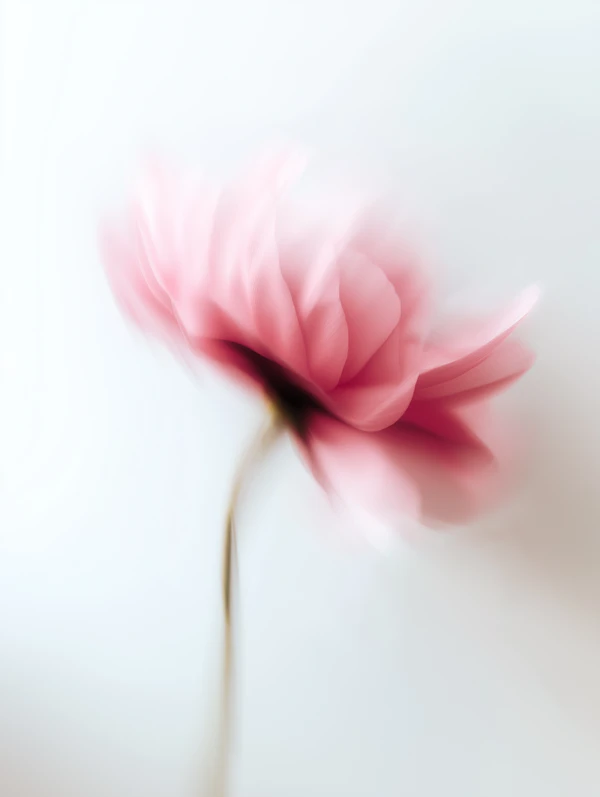 Dreamy Pink Flower