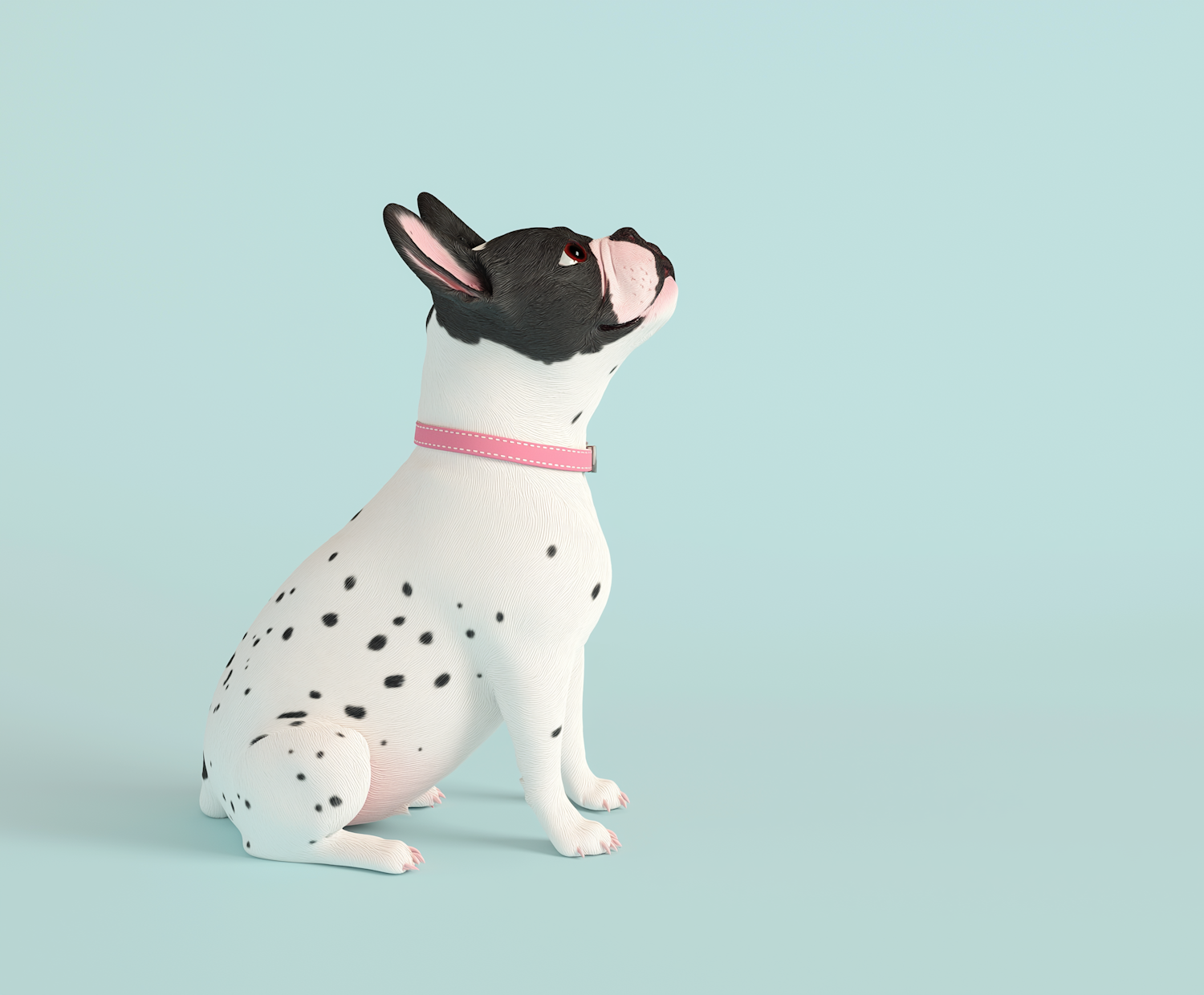 Spotted Dog with Pink Collar