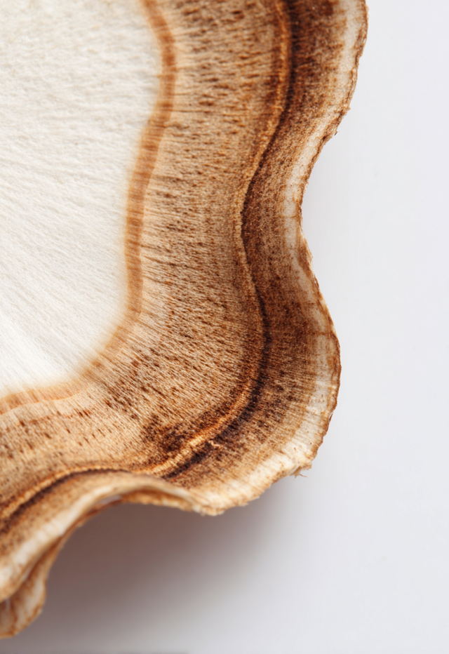 Textured Organic Close-Up