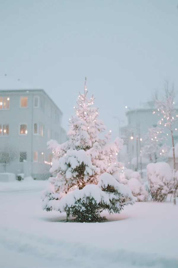 Serene Winter Scene